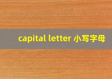 capital letter 小写字母